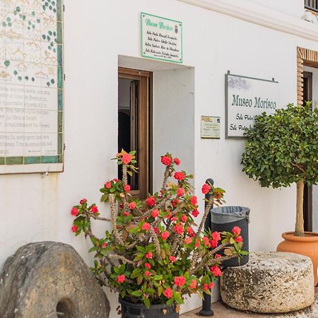 Casa De La Montana Apartments Sayalonga Екстериор снимка